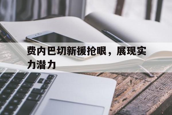 IMsports-费内巴切新援抢眼，展现实力潜力
